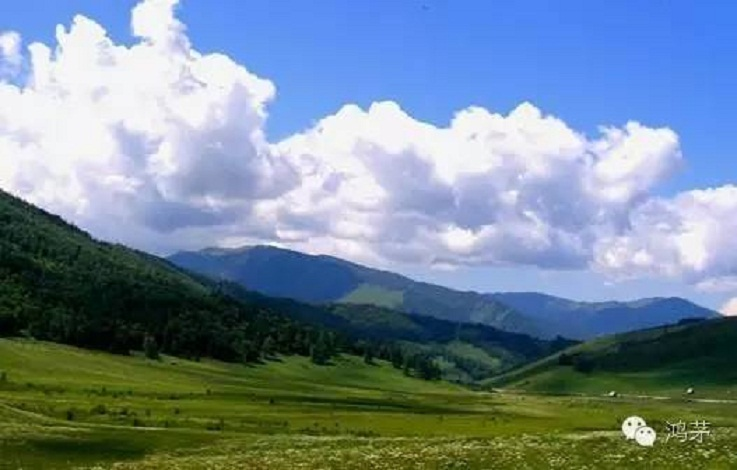 云顶集团·4008草原之旅